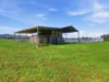 64 White Post Road, Everton, Vic 3678-Image