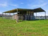 64 White Post Road, Everton, Vic 3678-Image