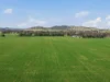 64 White Post Road, Everton, Vic 3678-Image