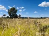 640 Carrington Road, Roma, Qld 4455-Image