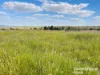 640 Carrington Road, Roma, Qld 4455-Image