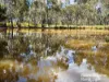 640 Carrington Road, Roma, Qld 4455-Image