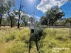 640 Carrington Road, Roma, Qld 4455-Image