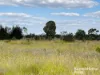 640 Carrington Road, Roma, Qld 4455-Image