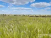 640 Carrington Road, Roma, Qld 4455-Image