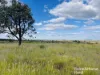 640 Carrington Road, Roma, Qld 4455-Image