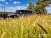 640 Carrington Road, Roma, Qld 4455-Image