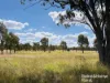 640 Carrington Road, Roma, Qld 4455-Image