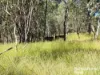 640 Carrington Road, Roma, Qld 4455-Image