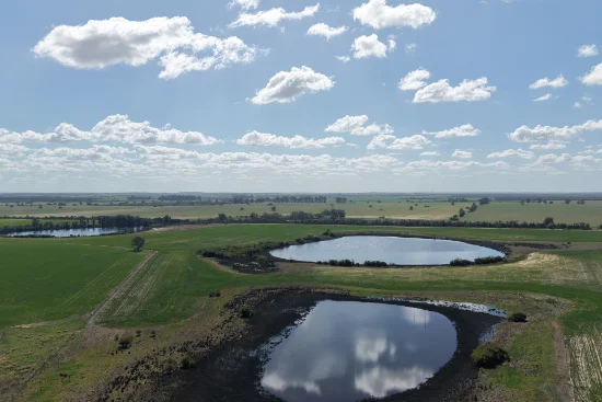 6430 Dandaragan Moora Road, Moora, WA 6510