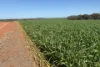 6430 Dandaragan Moora Road, Moora, WA 6510-Image