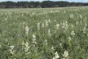 6430 Dandaragan Moora Road, Moora, WA 6510-Image