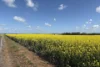 6430 Dandaragan Moora Road, Moora, WA 6510-Image