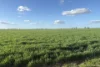 6430 Dandaragan Moora Road, Moora, WA 6510-Image