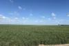 6430 Dandaragan Moora Road, Moora, WA 6510-Image