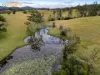 652 Boat Harbour Road, Yarranbella, NSW 2447-Image