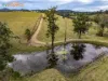 652 Boat Harbour Road, Yarranbella, NSW 2447-Image