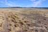 660 Aitkens Road, Bengworden, Vic 3875-Image