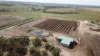 664 Ridley Road, Mannum, SA 5238-Image