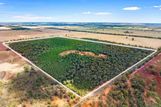 680 Schlunkes Lane, Trungley Hall, NSW 2666