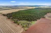 680 Schlunkes Lane, Trungley Hall, NSW 2666-Image