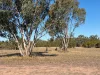 683 Redgum Road, Dalby, Qld 4405-Image