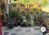 69 James St, Boyne Island, Qld 4680-Image