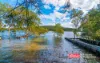 691 Pacific Highway, Karuah, NSW 2324-Image