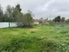 7 Rutherford Street, Charlton, Vic 3525-Image
