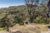 7 Starlight Place, Hill Top, NSW 2575-Image