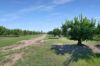 70 Grahams Road, Drinan QLD 4671-Image