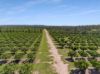 70 Grahams Road, Drinan QLD 4671-Image