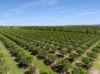 70 Grahams Road, Drinan QLD 4671-Image