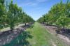 70 Grahams Road, Drinan QLD 4671-Image