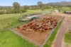 700 Neusavale Road, Neusa Vale, Qld 4570-Image