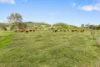 700 Neusavale Road, Neusa Vale, Qld 4570-Image