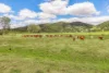 700 Neusavale Road, Neusa Vale, Qld 4570-Image