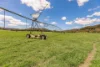 700 Neusavale Road, Neusa Vale, Qld 4570-Image