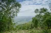 701 Moonabung Road, Vacy, NSW 2421-Image