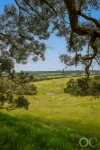 701, Reservoir Road, Myponga, SA 5202-Image