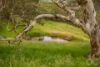 701, Reservoir Road, Myponga, SA 5202-Image