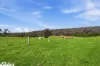71 Bedggoods And Richardsons Road, Briagolong, Vic 3860-Image
