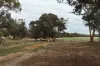 7138, Robinson Road, Woodanilling, WA 6316-Image