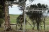 7138, Robinson Road, Woodanilling, WA 6316-Image