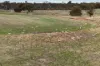 7138, Robinson Road, Woodanilling, WA 6316-Image