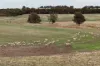 7138, Robinson Road, Woodanilling, WA 6316-Image