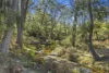 716 Yowrie Road, Yowrie, NSW 2550-Image