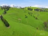 725 Dollar Road, Dollar, Vic 3871-Image