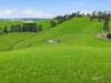 725 Dollar Road, Dollar, Vic 3871-Image