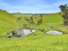 725 Dollar Road, Dollar, Vic 3871-Image